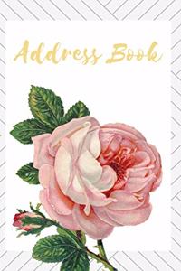 Address Book Large Print