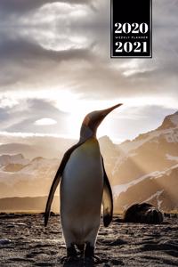 Penguin Puffin Antarctica Seabird Week Planner Weekly Organizer Calendar 2020 / 2021 - Sunbeams