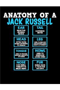 Anatomy of a Jack Russell