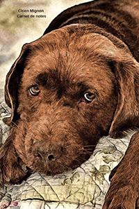 Chien Mignon Carnet de notes