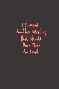 I Survived Another Meeting That Should Have Been An Email.