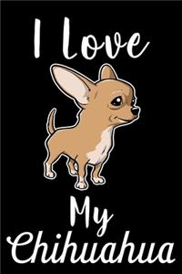 I Love My Chihuahua