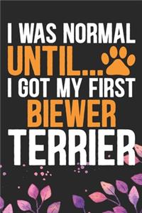 I Was Normal Until I Got My First Biewer Terrier