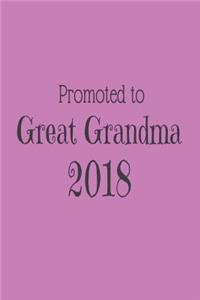Promoted To Great Grandma 2018