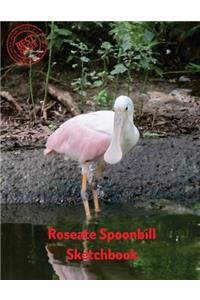 Roseate Spoonbill Sketchbook