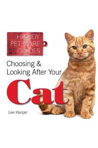 Choosing & Looking After Your Cat