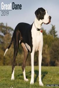 Great Dane Calendar 2019