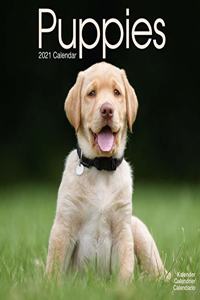 Puppies 2021 Wall calendar