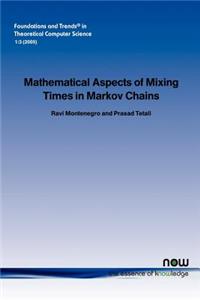 Mathematical Aspects of Mixing Times in Markov Chains