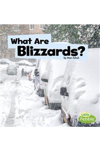 What Are Blizzards?