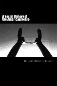 Social History of the American Negro