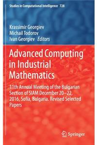 Advanced Computing in Industrial Mathematics