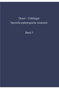 Grundzüge Einer Historischen Und Geographischen Pathologie / Pathological Anatomy of Mediterranean and Tropical Diseases