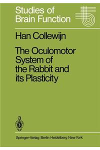 The Oculomotor System of the Rabbit and Its Plasticity