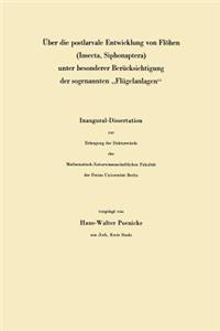 Über die postlarvale Entwicklung von Flöhen (Insecta, Siphonaptera) unter besonderer Berücksichtigung der sogenannten „Flügelanlagen“