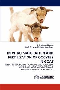 In Vitro Maturation and Fertilization of Oocytes in Goat