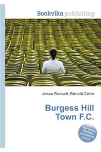 Burgess Hill Town F.C.