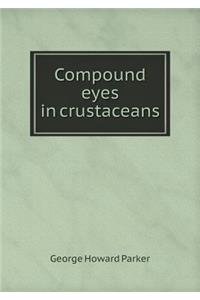 Compound Eyes in Crustaceans