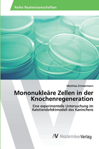 Mononukleäre Zellen in der Knochenregeneration