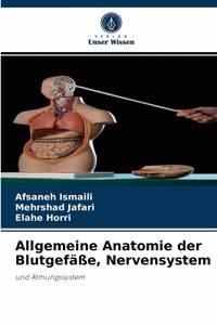 Allgemeine Anatomie der Blutgefäße, Nervensystem