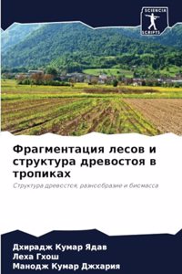 Фрагментация лесов и структура древостоя