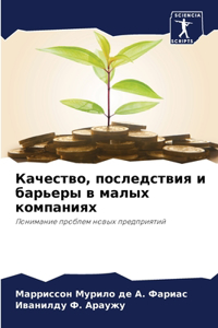 Качество, последствия и барьеры в малых ко
