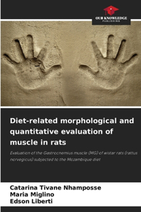Diet-related morphological and quantitative evaluation of muscle in rats