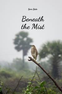 Beneath the Mist