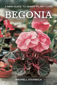 A mini-guide to smart plant care