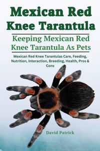 Mexican Red Knee Tarantula