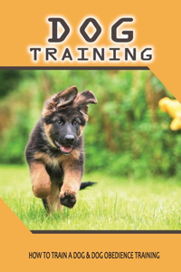 Dog Training