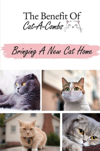 The Benefit Of Cat-A-Combs