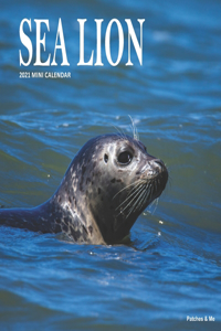 Sea Lion
