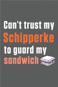Can't trust my Schipperke to guard my sandwich