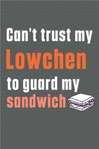 Can't trust my Lowchen to guard my sandwich