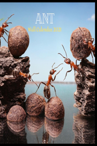Ant Wall Calendar 2021