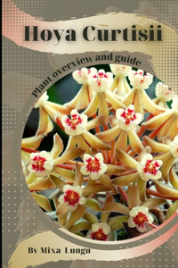 Hoya Curtisii