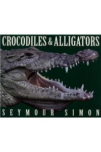 Crocodiles & Alligators