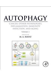 Autophagy: Cancer, Other Pathologies, Inflammation, Immunity, Infection, and Aging