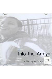 Into the Arroyo