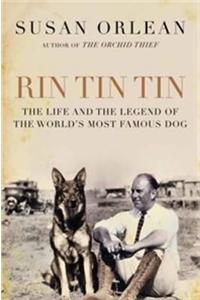 Rin Tin Tin