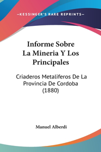 Informe Sobre La Mineria Y Los Principales