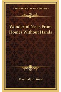 Wonderful Nests From Homes Without Hands