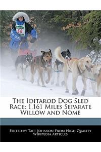 The Iditarod Dog Sled Race