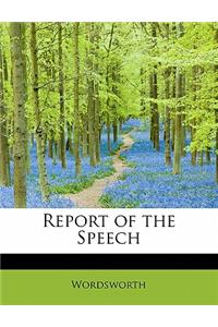 Report of the Speech