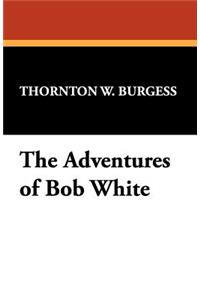 The Adventures of Bob White