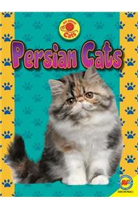 Persian Cats