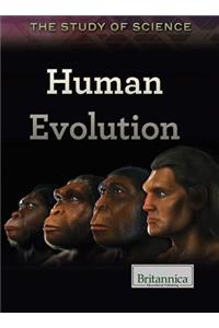 Human Evolution