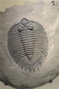 Trilobyte Fossil Journal: 150 Page Lined Notebook/Diary