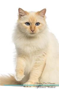 Birman Cat Affirmations Workbook Birman Cat Presents